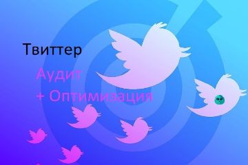 Аудит + Оптимизация твиттер
