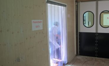полосовые завесы на дверь
