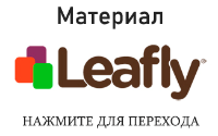 Логотип Leafly
