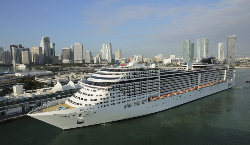 msc divina
