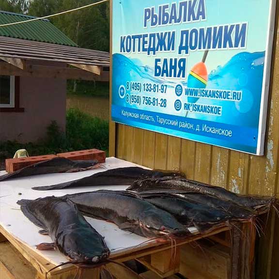 Рыбалка в Калужской области