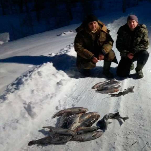 Платная рыбалка в Исканском