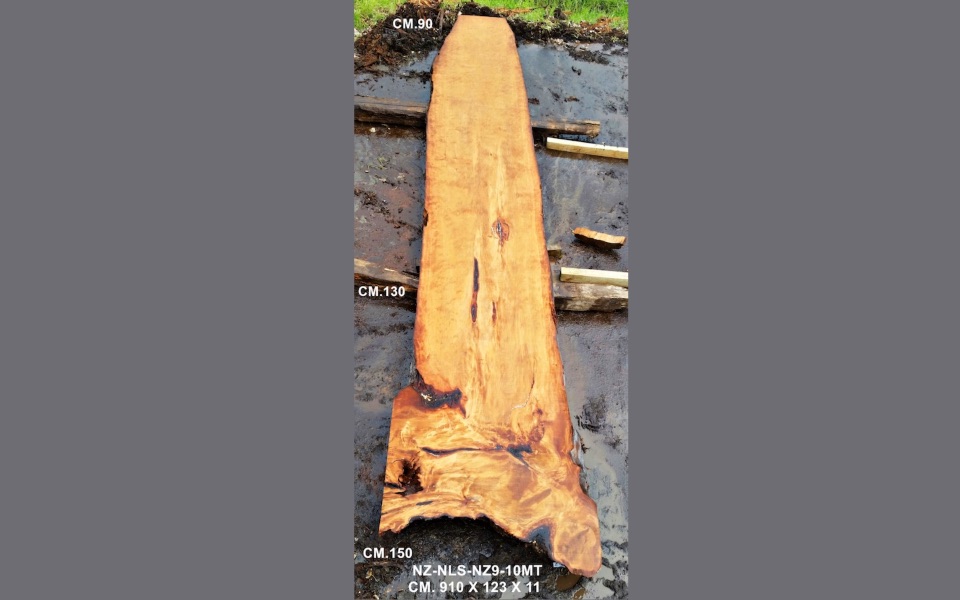 Каури – тысячелетнее ископаемое дерево