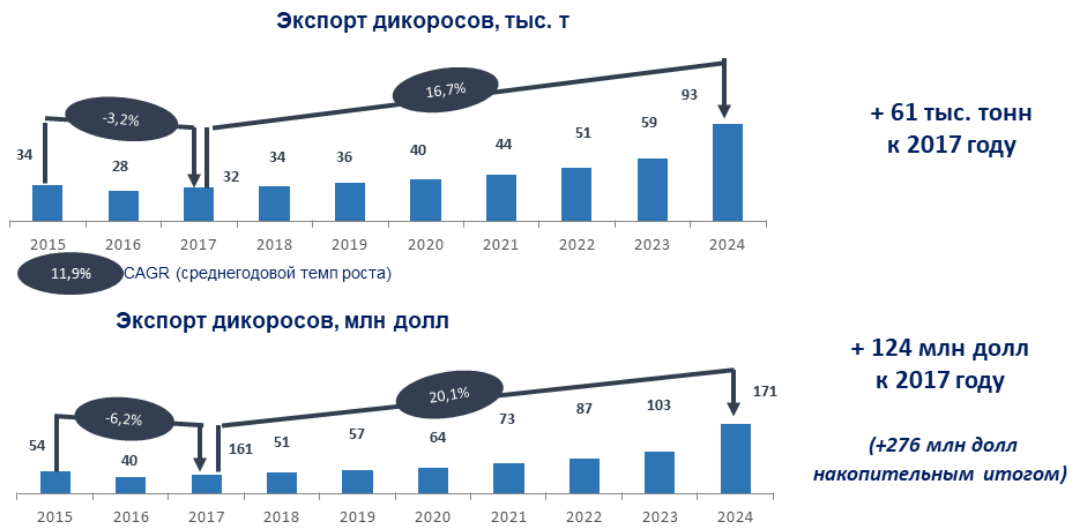 Дикоросы бизнес план