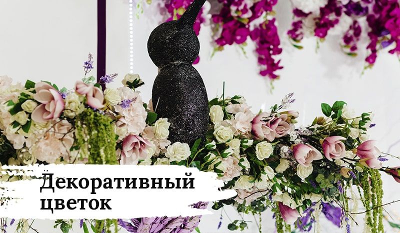 Декоративный цветок