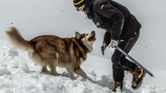 восхождение на Эльбрус